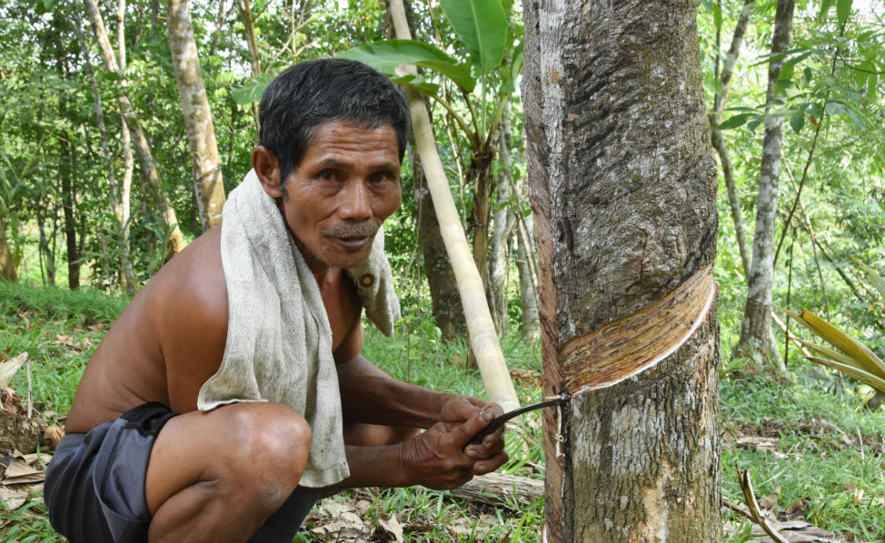 FAIR RUBBER: SCHWALBE IS THE FIRST TIRE MANUFACTURER TO USE FAIR TRADE RUBBER